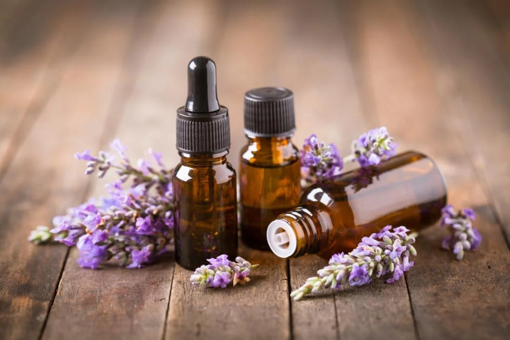 Top 10 Essential Oils for Congestion