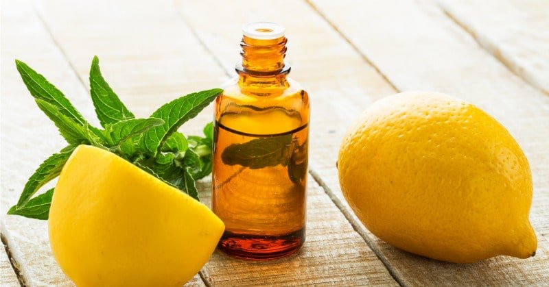 10 Best Essential Oils for Weight Loss