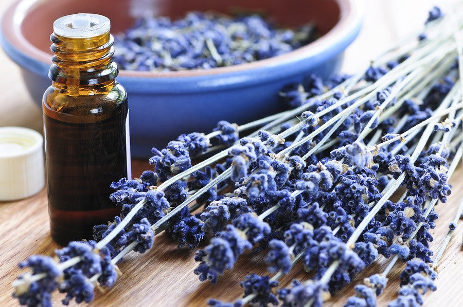 Lavender Oil Uses