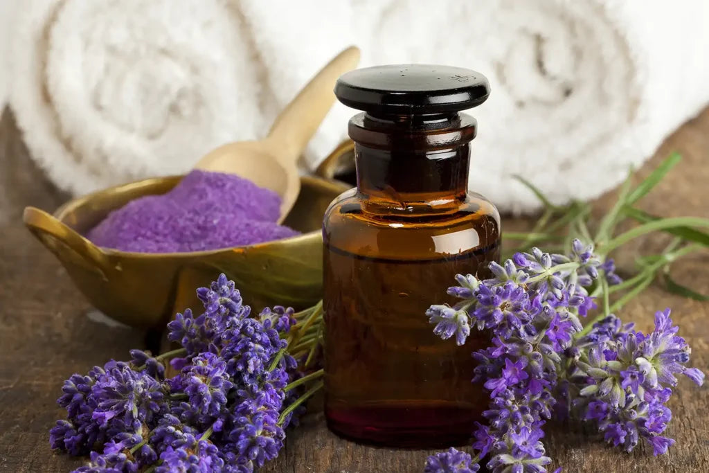 Top 10 Lavender Essential Oils