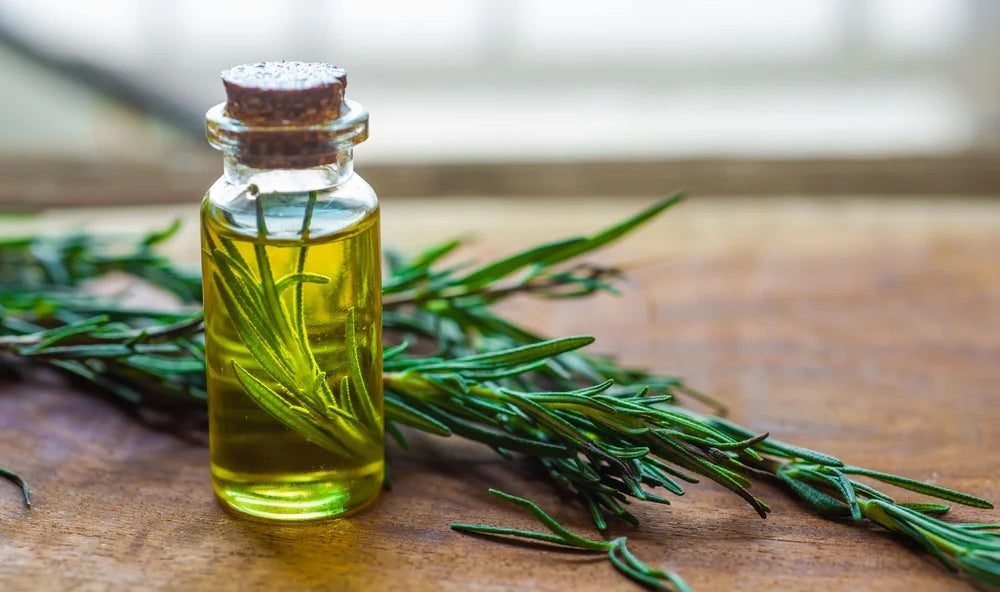 Top 10 Rosemary Essential Oil