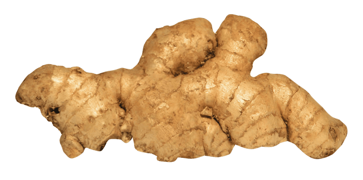 Ginger Co2 Extracted Oil - Essential Oils Company