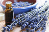 Lavender Oil Pure (Bulgarian) - Essential Oils Company