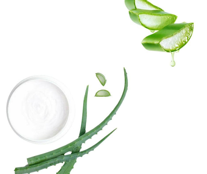 Aloe Vera Gel - Essential Oils Company