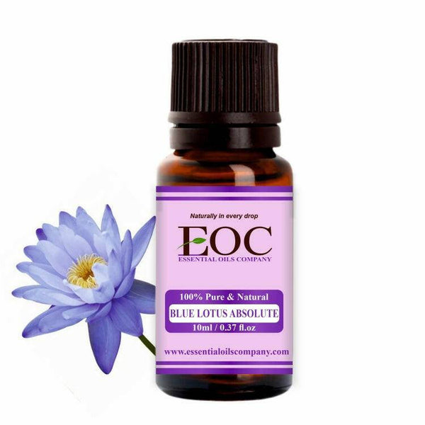 Blue Lotus Absolute Oil - Essential Oils Company