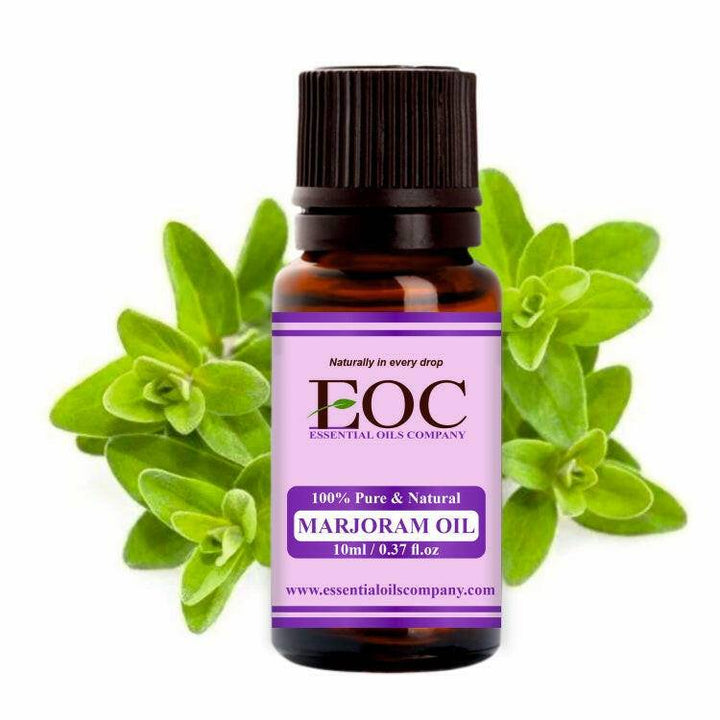 Marjoram Oil - Essential Oils Company