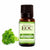 Parsley Seed Oil - Essential Oils Company