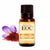 Saffron Absolute - Essential Oils Company