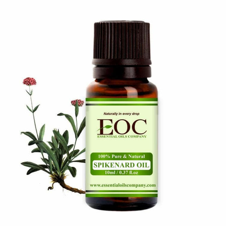 Spikenard Oil - Essential Oils Company