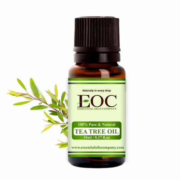 Tea Tree Oil - Essential Oils Company