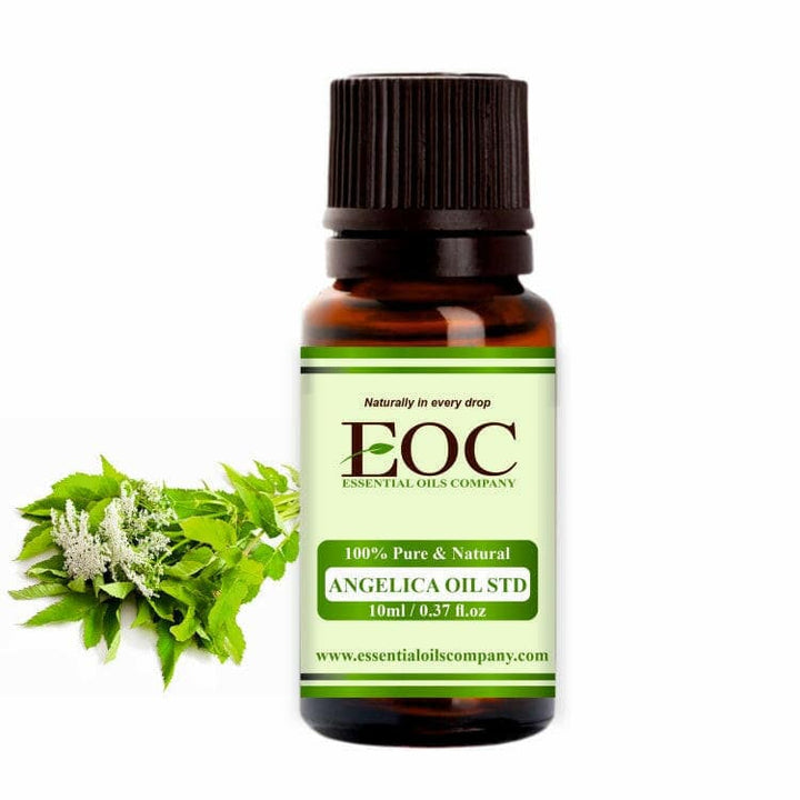 Angelica Essential Oil STD - Essential Oils Company