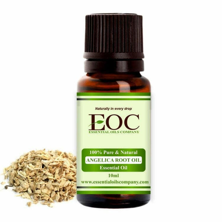 Angelica Root Essential Oil - Essential Oils Company