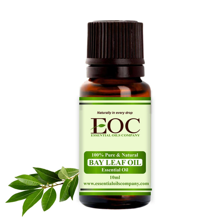 Bay Leaf Oil - Essential Oils Company