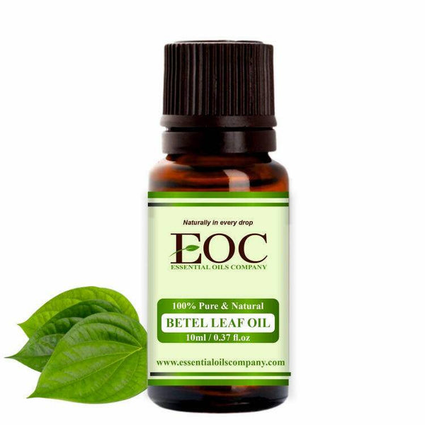 Betel Leaf Oil - Essential Oils Company