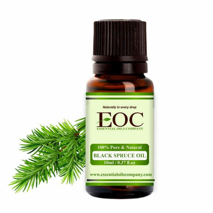 Black Spruce Essential Oil - Essential Oils Company