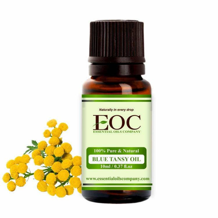 Blue Tansy Oil - Essential Oils Company