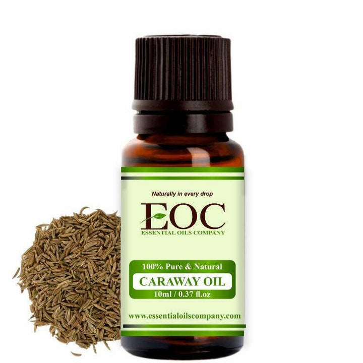 Caraway Oil - Essential Oils Company