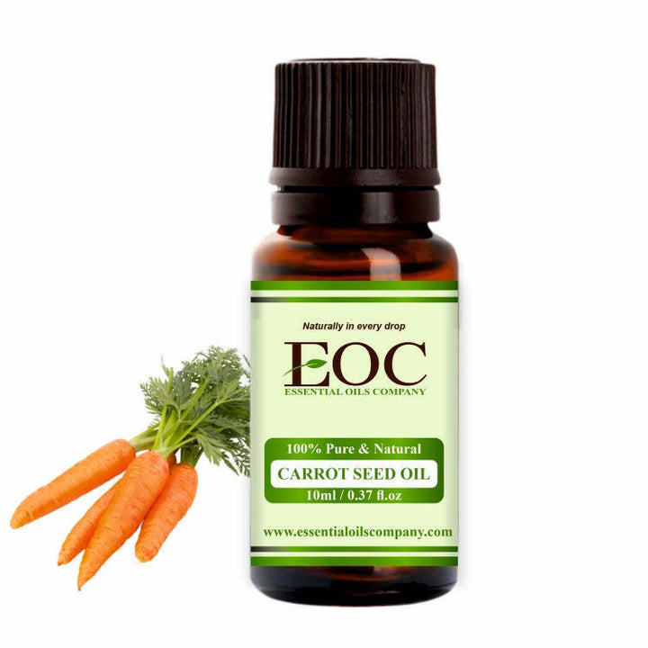 Carrot Seed Oil (high caratol) - Essential Oils Company