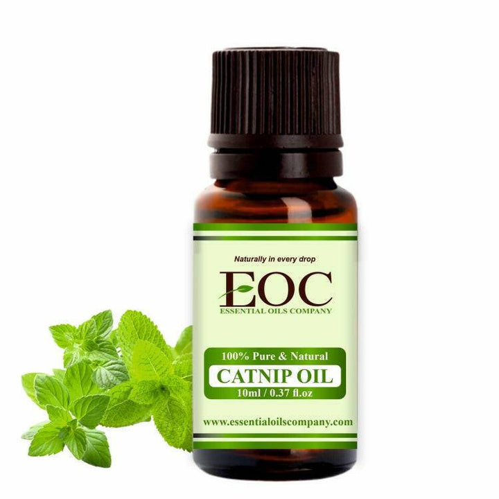 Catnip Oil - Essential Oils Company