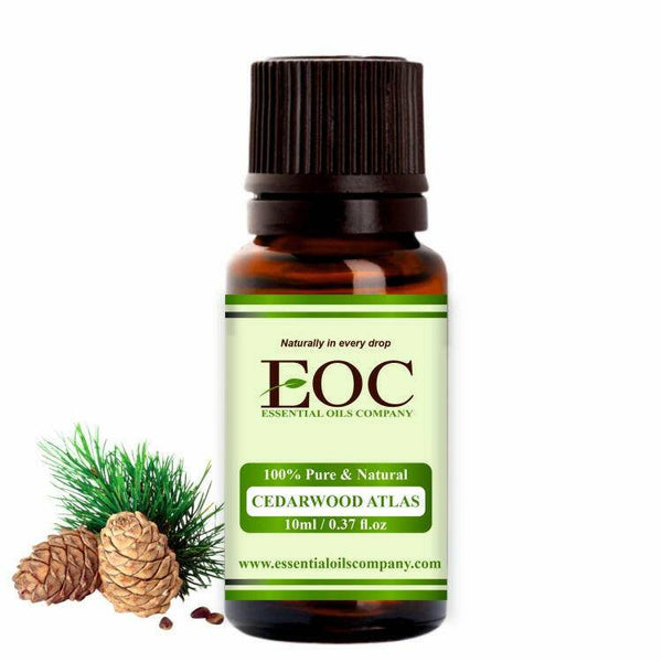 Cedarwood Oil Atlas - Essential Oils Company