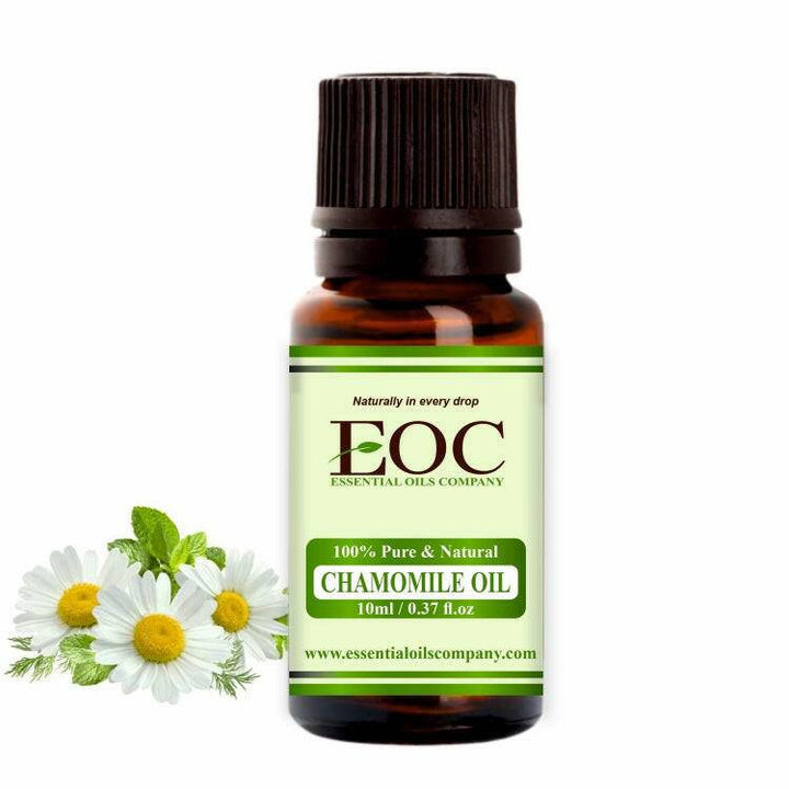 Chamomile Oil (Roman) - Essential Oils Company