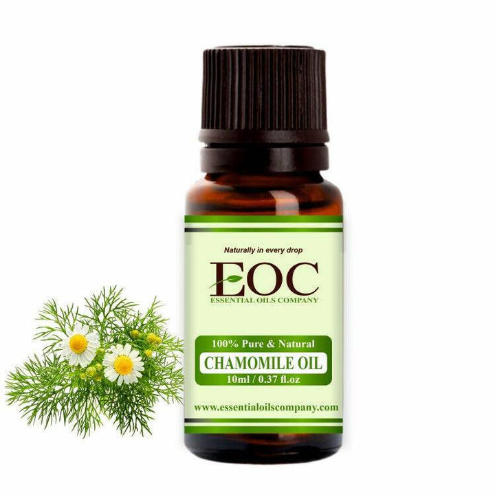 Chamomile Oil (German) - Essential Oils Company