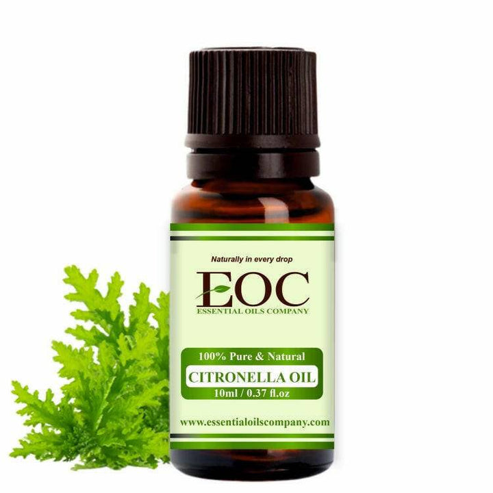 Citronella Oil - Essential Oils Company