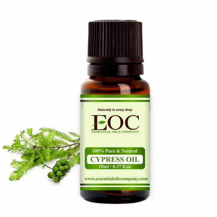 Cypress Oil - Essential Oils Company