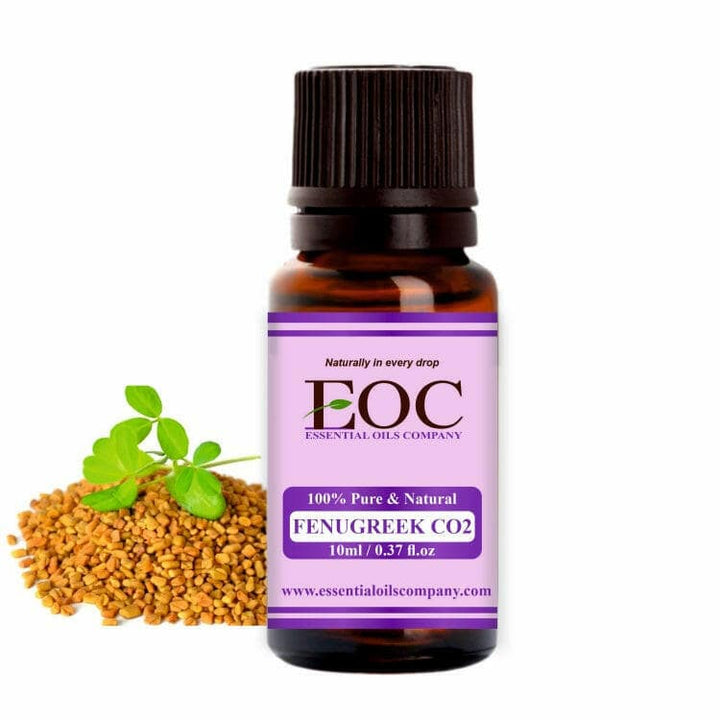 Fenugreek Co2 Extract Oil - Essential Oils Company