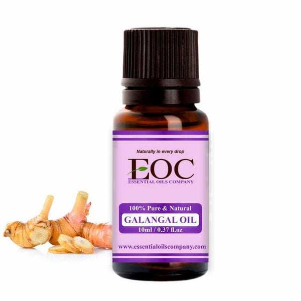 Galangal Oil - Essential Oils Company