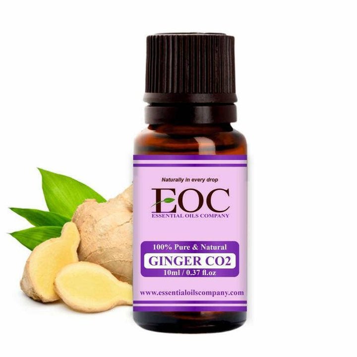 Ginger Co2 Extracted Oil - Essential Oils Company