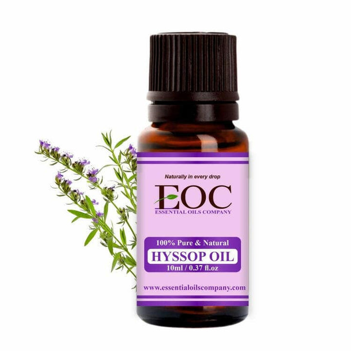 Hyssop Oil - Essential Oils Company