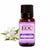 Jasmine Grandiflorum - Essential Oils Company