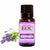 Lavender Oil Pure (Kashmir) - Essential Oils Company