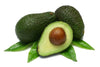 Avocado Oil fruits seed