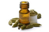 Cardamom Oil STD 