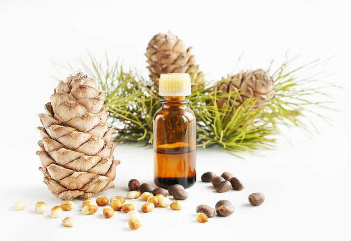 Cedarwood essential Oil Himalayan 