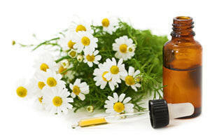 Chamomile Oil (German) - Essential Oils Company