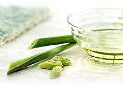 Citronella Oil - Essential Oils Company