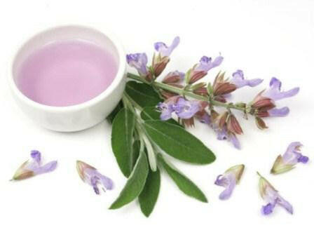 Clary Sage Essential Oil 