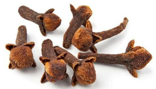 Clove Bud Seed