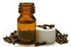 Clove Bud Essential Oil 