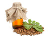 Coriander Oil - Essential Oils Company