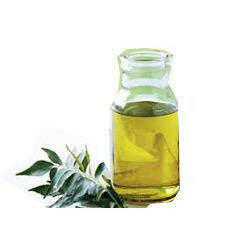 Curry Leaf Oil - Essential Oils Company