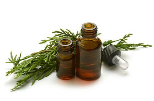 Cypress Oil - Essential Oils Company