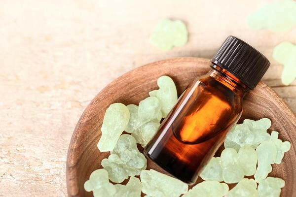 Frankincense Oil STD - Essential Oils Company