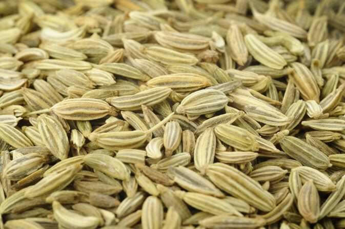 Fennel Seed Oil - Essential Oils Company