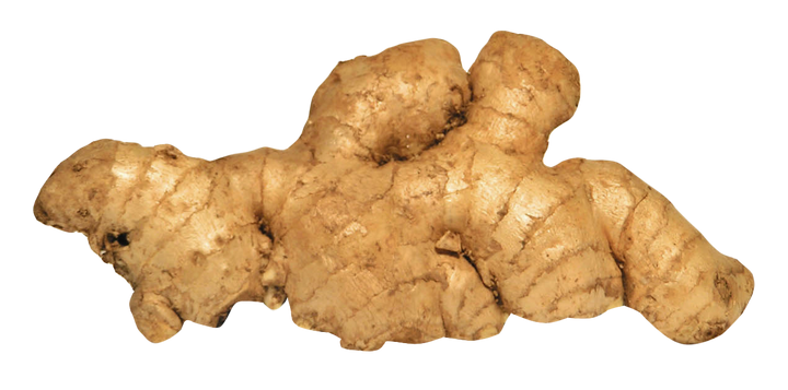 Ginger Root Oil - Essential Oils Company