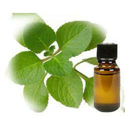 Hyssop Oil - Essential Oils Company