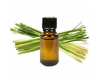 Lemongrass Oil - Essential Oils Company